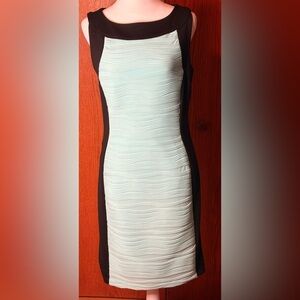 NWOT Calvin Klein Women's Sleeveless Teal Black Bodycon Knee Length Dress Size 6